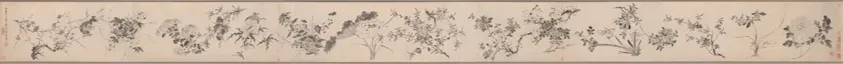 キンシバイ 花のQ&A：よくある疑問を解決