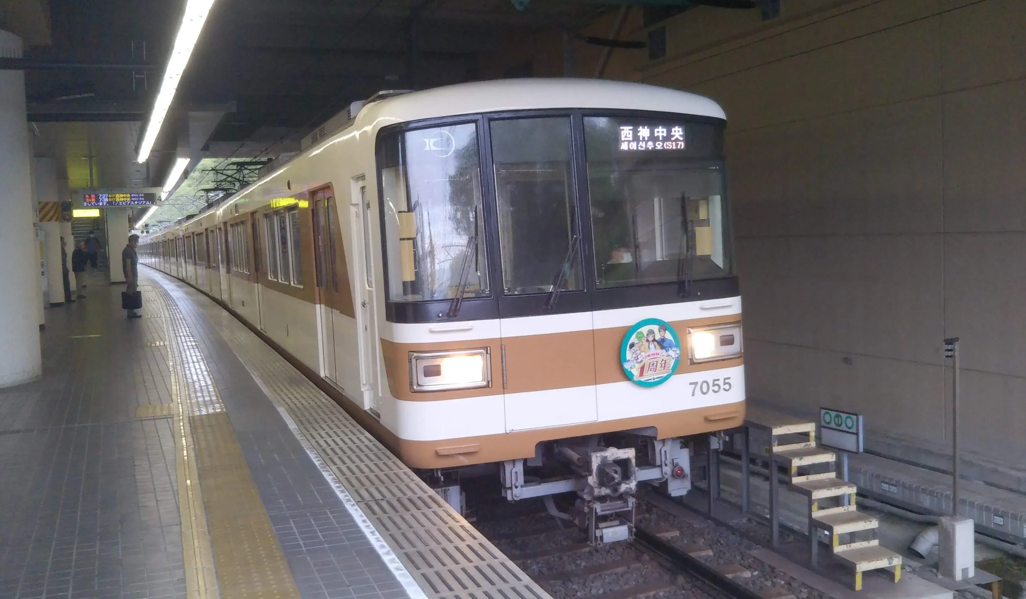 グッピー 花で庭やベランダを彩ろう