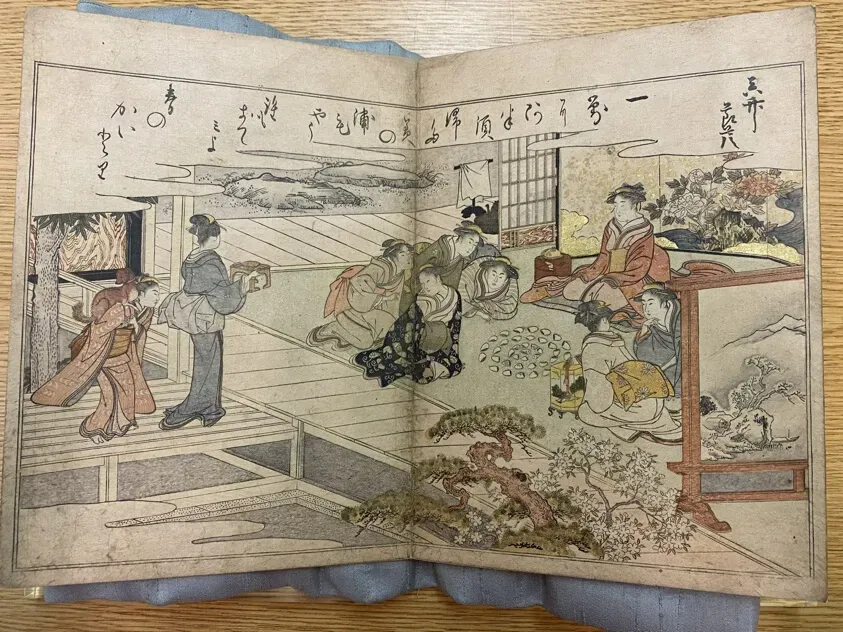 初心者でも大丈夫！「ケイトウ きもの」の基本の育て方