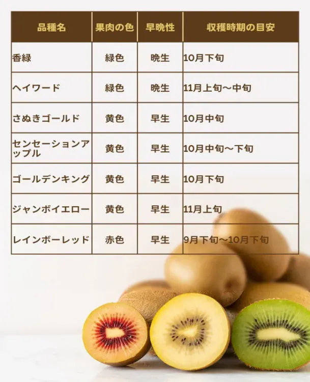 肥料やりで失敗しないためのコツ