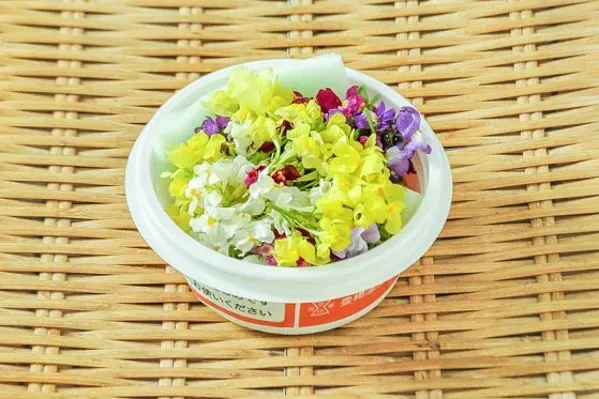 鮮やか！グッピー 花のカラーバリエーションと香り